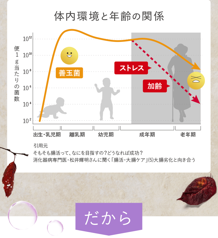 善玉菌は減少していくんです