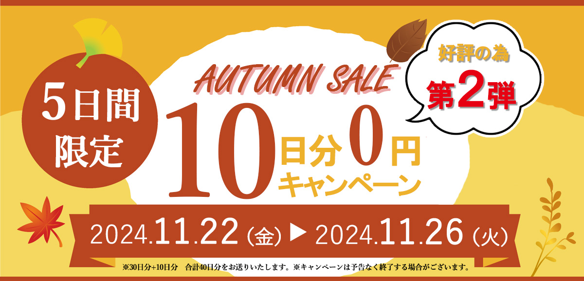 5日間限定 10日分0円キャンペーン 期間2024年11月22日~2024年11月26日